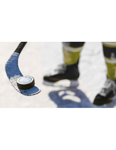 Gufex Eishockey Puck ( 5 Stück )