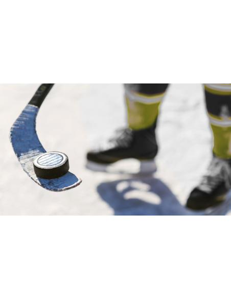 Gufex Eishockey Puck ( 5 Stück )